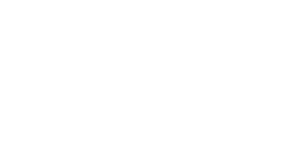 VON WEDEL - Executive Partner